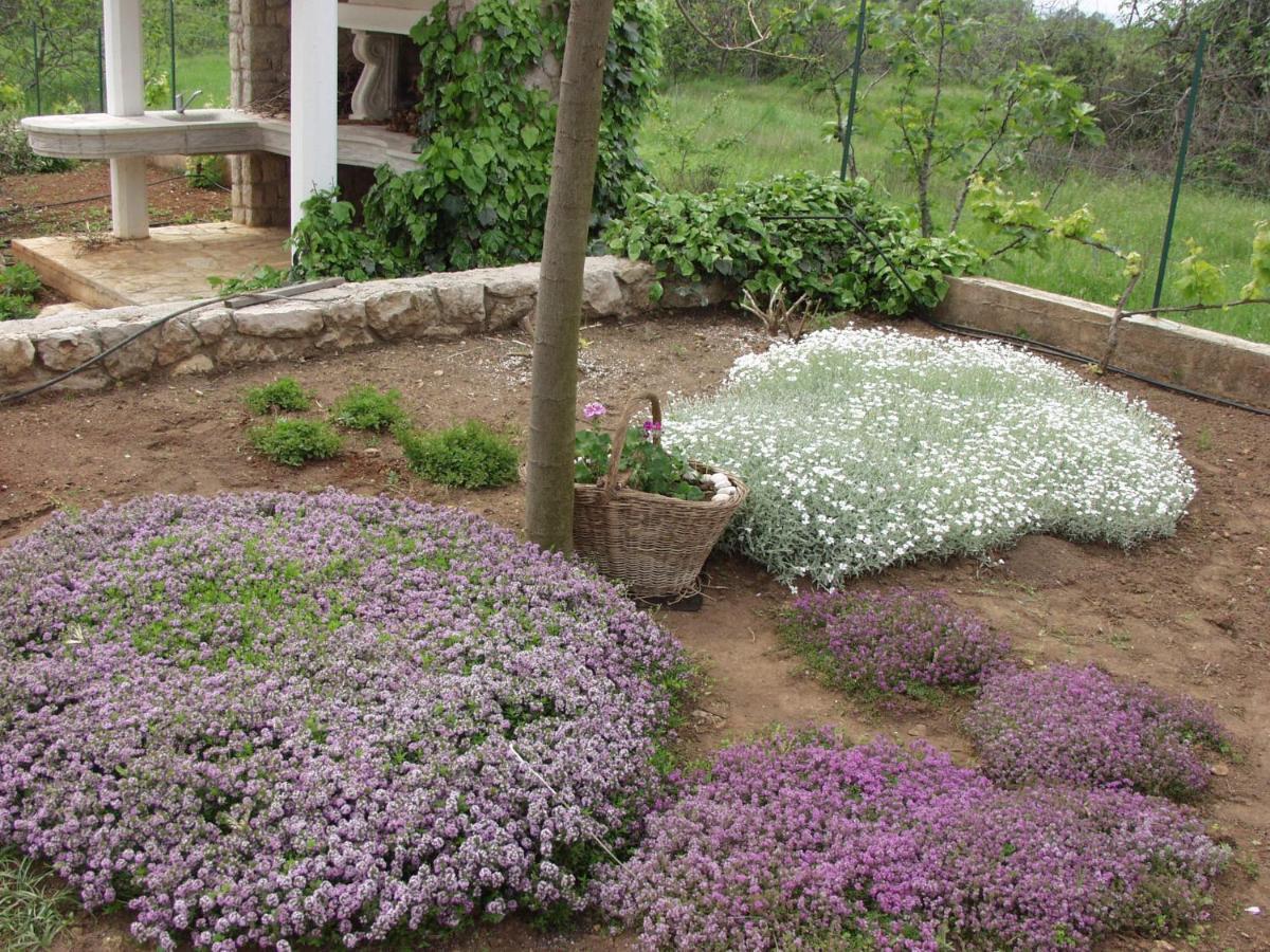 Holiday House "Lea" Lukoran Kültér fotó